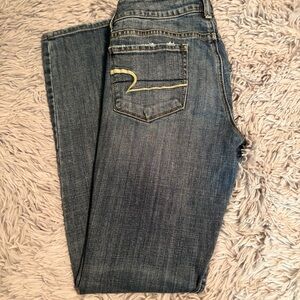 American Eagle Outfitters Classic Blue Skinny Jeans